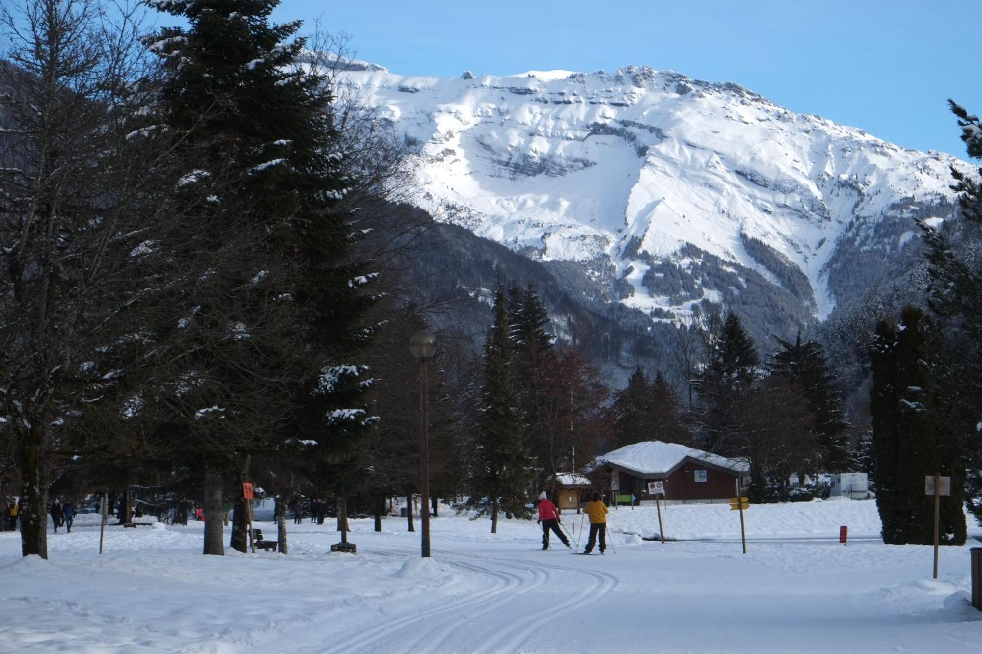 Particulier Loue 2 Appartements Communicants Dans Chalet A Samoens Jusqu A 16 Couchages Dış mekan fotoğraf